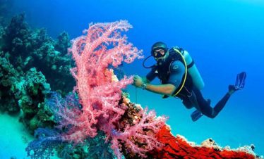 Plongee Sous marine Hurghada Dream 4 870x555 1