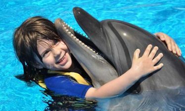 Shooting Dauphins Hurghada Dream 1 870x555 1