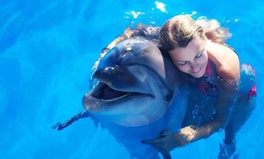 Shooting Dauphins Hurghada Dream 3 870x555 1