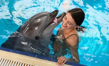 Shooting Dauphins Hurghada Dream 4 870x555 1