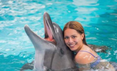 Shooting Dauphins Hurghada Dream 5 870x555 1