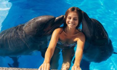 Shooting Dauphins Hurghada Dream 6 870x555 1